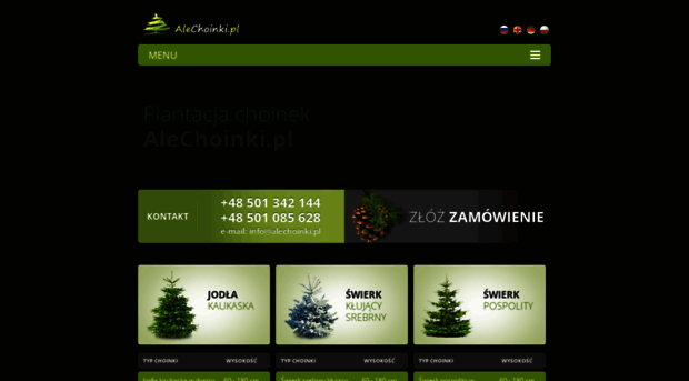 alechoinki.pl