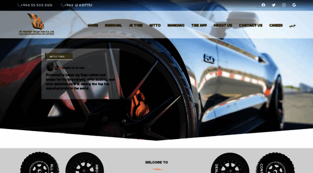 alesayitires.com