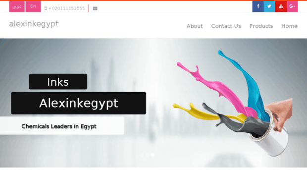alexinkegypt.com