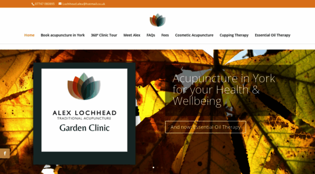 alexlochhead-acupuncture.co.uk