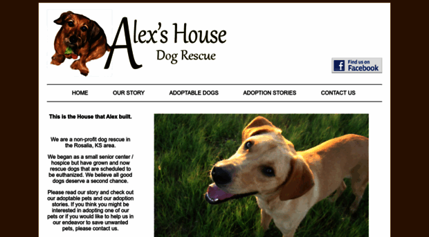 alexshouse.org