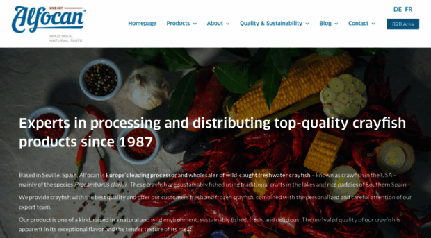 alfocan.es