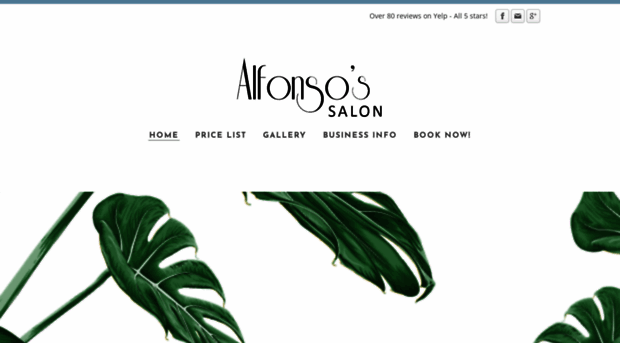 alfonsosalon.com