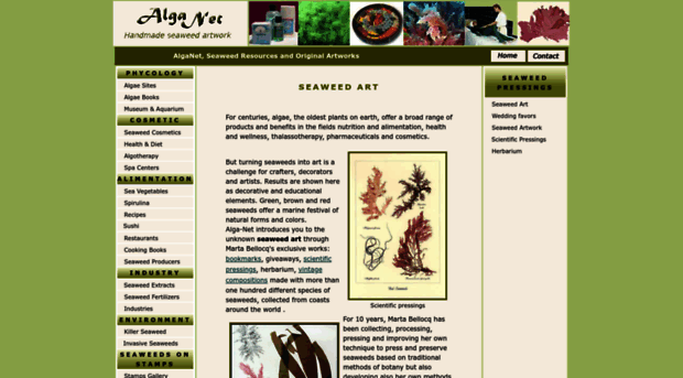 alga-net.com