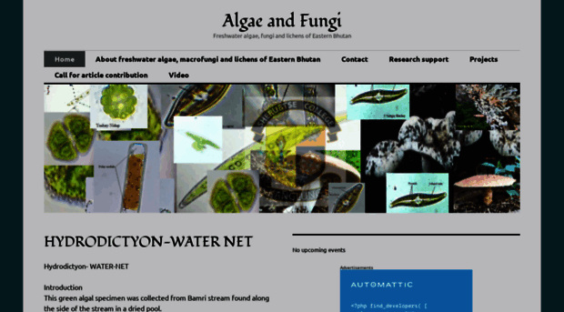 algaefungiblog.wordpress.com