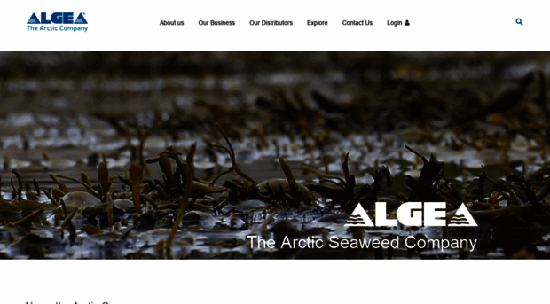 algea.com