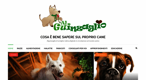 alguinzaglio.it