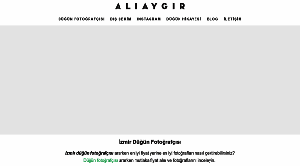 aliaygir.com.tr