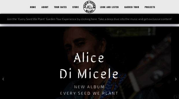 alicedimicele.com