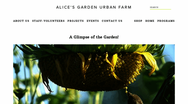 alicesgardenmke.com