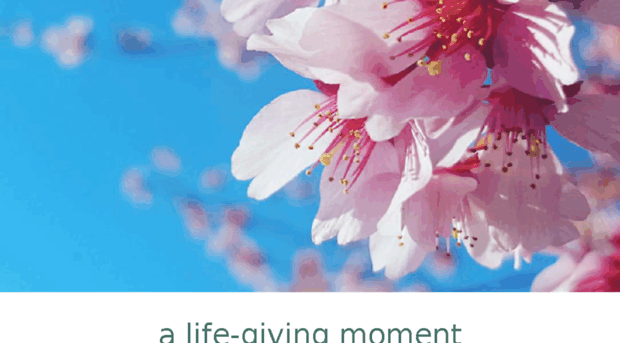 alifegivingmoment.wordpress.com