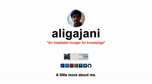 aligajani.com