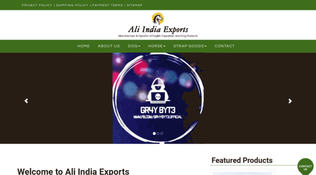 aliindiaexports.com
