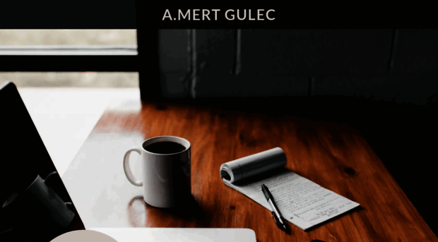 alimertgulec.com