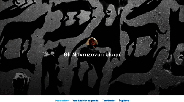 alinovruzov.com