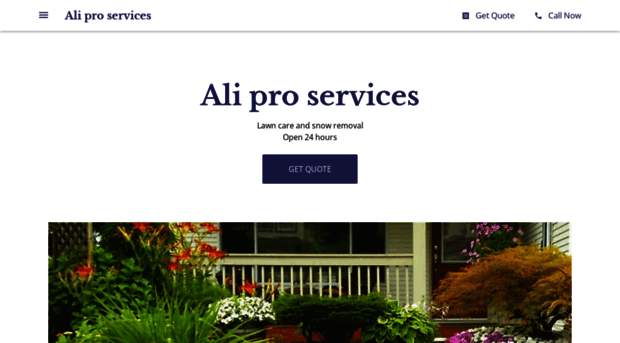 aliproservices.com