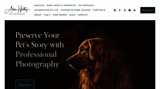 alisonhuntleypetphotography.com