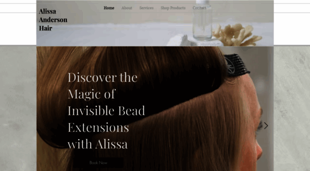 alissaandersonhair.com