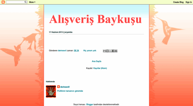 alisverisbaykusu.blogspot.com