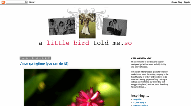 alittlebirdtoldmeso.blogspot.com