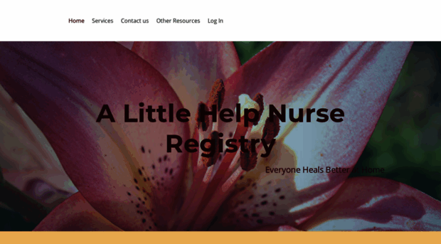 alittlehelpnurseregistry.com