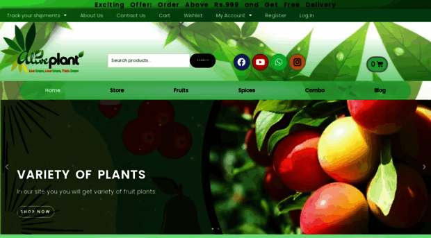 aliveplant.com