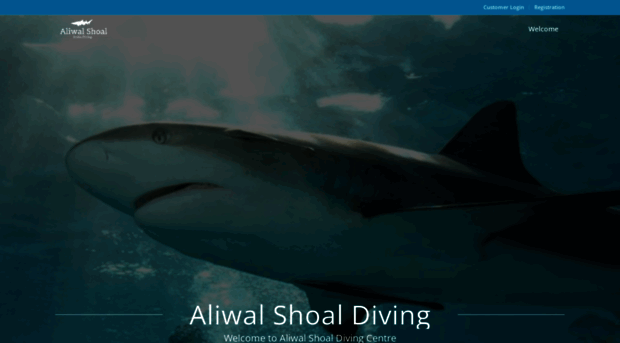 aliwalshoalscubadiving.com