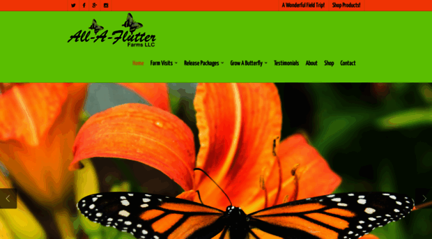 all-a-flutter.com