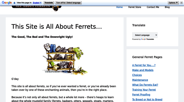 all-about-ferrets.com