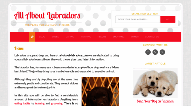 all-about-labradors.com