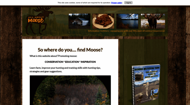 all-about-moose.com