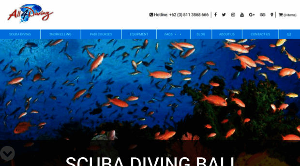 all4divingindonesia.com