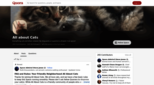 allaboutcats.quora.com