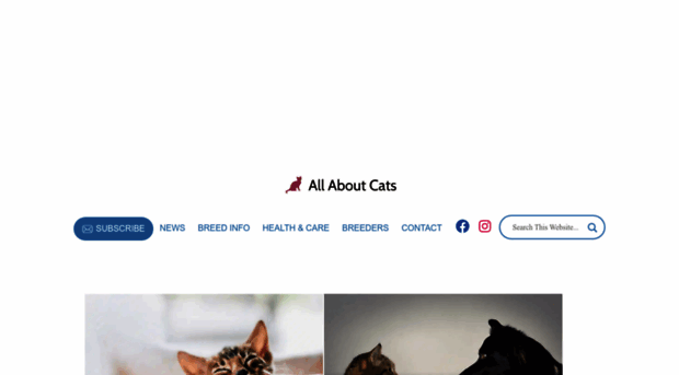 allaboutcatz.com