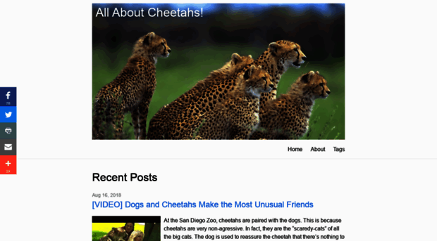 allaboutcheetahs.info