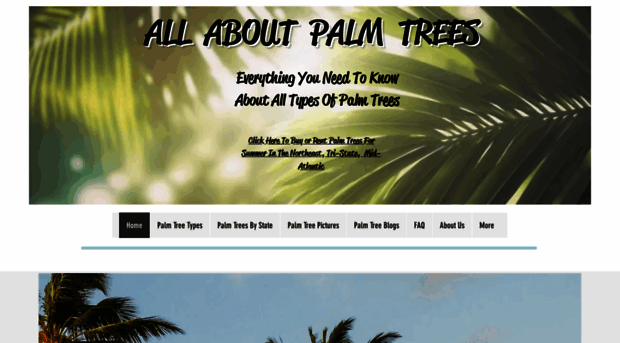 allaboutpalmtrees.com - All About Palm Trees | Your #1... - All About ...