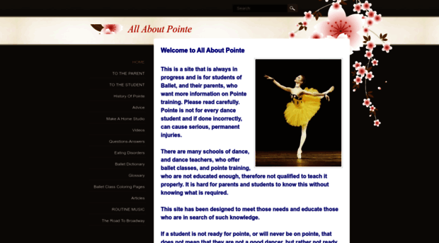 allaboutpointe.weebly.com