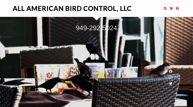 allamericanbirdcontrol.com