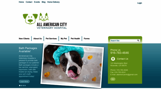 allamericancityveterinaryhospitalinc.com