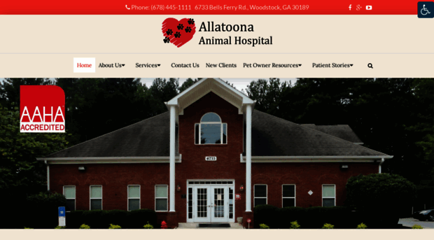 allatoonavets.com