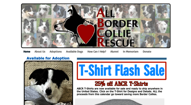 allbordercollierescue.com