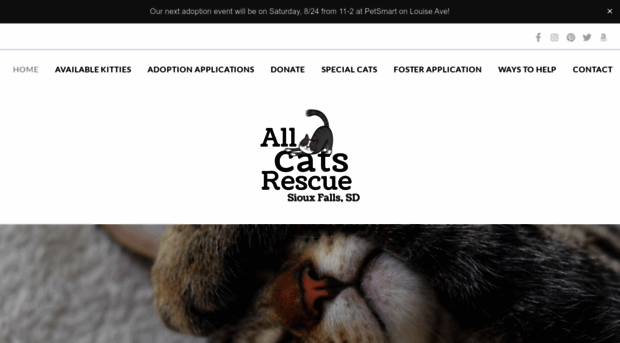 allcatsrescue.org