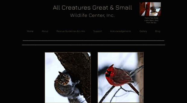 allcreaturesgreatandsmallwildlifecenter.org
