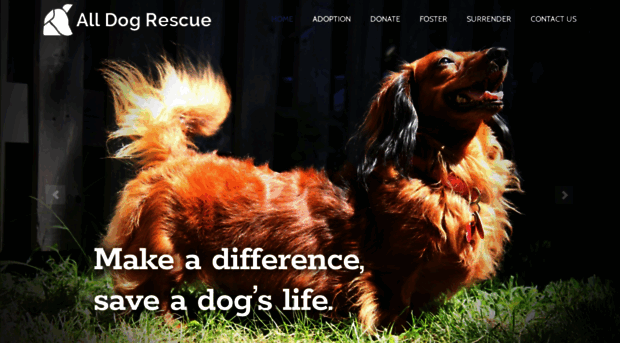 alldogrescue.org