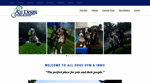 alldogsgym.com