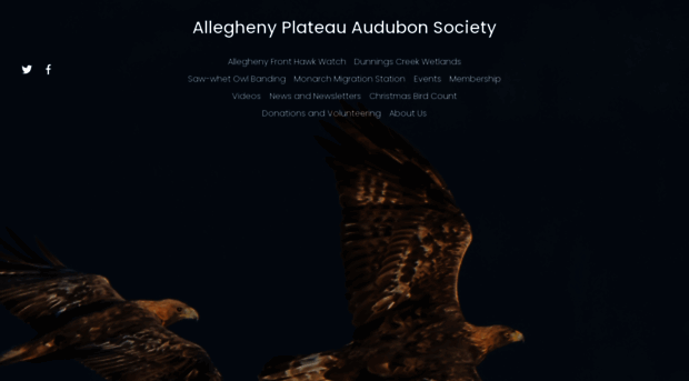 alleghenyplateauaudubon.org