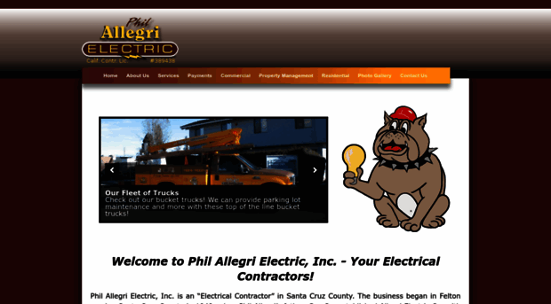 allegrielectric.com