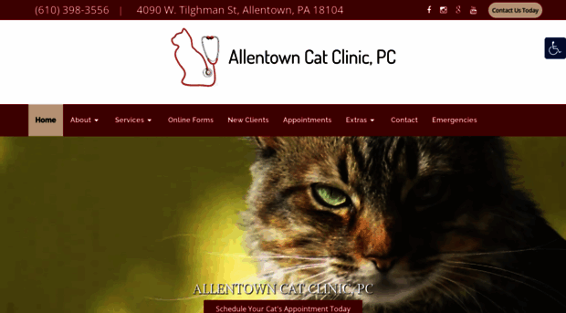 allentowncatclinic.net