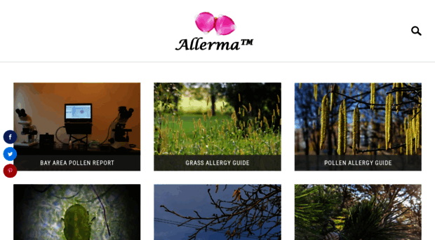 allerma.com