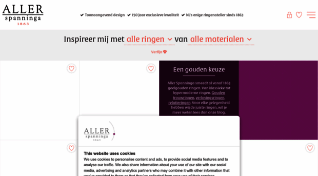 allerspanninga.com